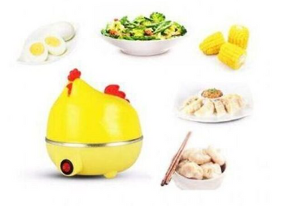 Electric Egg Poacher