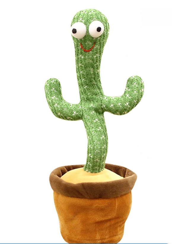 Dancing Cactus